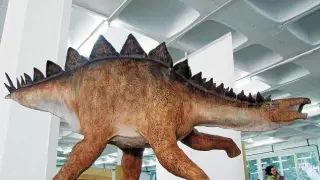 Huellas de un nuevo dinosaurio en Teruel
