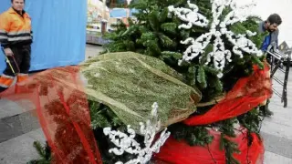 Destrozan el árbol de Navidad de la plaza López Allué