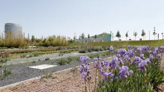 El Parque del Agua cuenta ya con 200 huertos urbanos