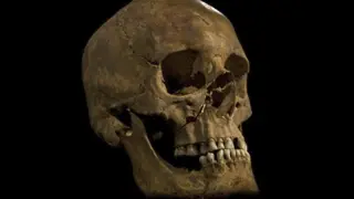 Cráneo del esqueleto hallado en la iglesia de Grey Friars