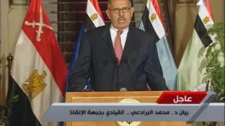 Mohamed Al Baradei