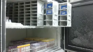 Ultracongeladores del Biobanco del Salud aragonés.