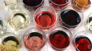 Los vinos de las denominaciones zaragozanas muestran las peculiaridades de cada una de sus zonas, de su clima, de su suelo y sobre todo de sus variedades