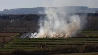 Imagen de una quema agrícola