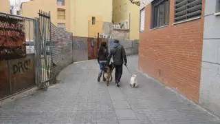 Dos vecinos pasean a sus perros, en foto de archivo