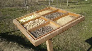Los comederos aseguran el alimento a las aves durante el invierno en el Galacho