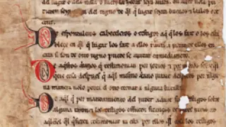 El texto está redactado sobre vitela en letra gótica.