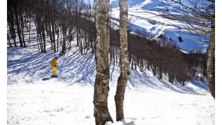 Un esquiador en Formigal