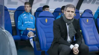 Paco Herrera, destituido como entrenador del Real Zaragoza