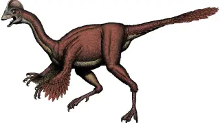 Dinosaurio bautizado como Anzu wiliei o pollo del infierno