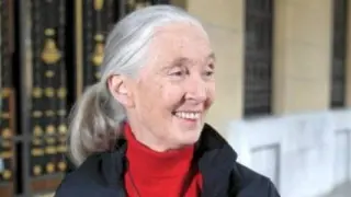 La primatóloga Jane Goodall