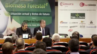 El consejero de Fomento, Antonio Silván (d), y el director de El Norte de Castilla, Carlos Aganzo, durante su participación en la jornada "Biomasa Forestal: situación actual y retos de futuro"