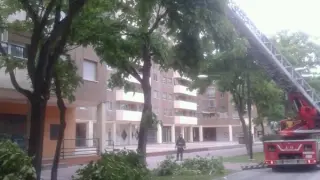Los bomberos actuando por la caída de una rama en la calle Nicolás Guillén