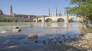 El Ebro, a su paso por Zaragoza
