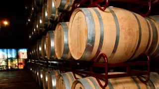 Robert Parker prueba unos 50 vinos de la D.O. Cariñena