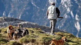 El Anteproyecto endurece las condiciones para la tenencia y el transporte de los perros de caza