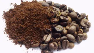 El genoma del café, una mezcla perfecta de cafeína, aroma y sabor