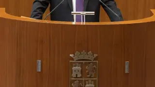El procurador del Común, Javier Amoedo, defendió este martes ante el pleno de las Cortes de Castilla y León el Informe 2013