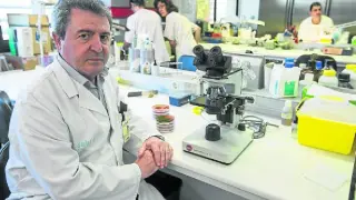 Francisco Javier Castillo, jefe de sección de Microbiología del hospital Clínico de Zaragoza.