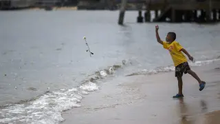 Un niño arroja una rosa al mar en conmemoración de los fallecidos en el tsunami