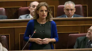 Diputada socialista en el Congreso, Susana Sumelzo