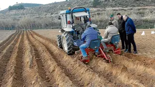 Los técnicos del CITA plantan las primeras variedades de patata ante Gramún y Escándil