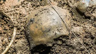 Dos especialistas analizan los huesos hallados en la excavación.