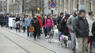 Concentración en Zaragoza para pedir el endurecimiento de las leyes contra el maltrato animal