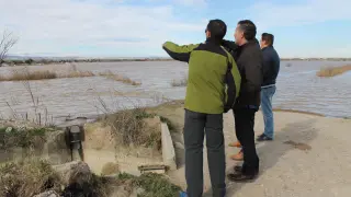 Vista de las inundaciones de campos por la crecida del río Ebro