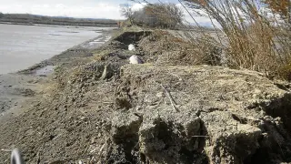 Algunos de los daños en infraestructuras que provocó la última riada en los campos de Novillas.