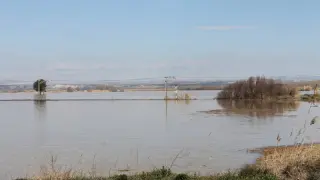 Una crecida del río Ebro