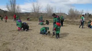 Voluntarios realizando labores de reforestación