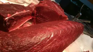 Despiece de atún rojo