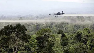 Una avioneta fumiga con glifosato unos campos de cultivo en Colombia