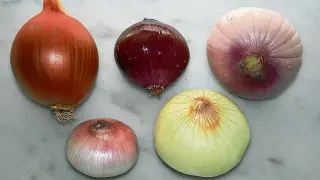 Cinco variedades diferentes de cebollas.