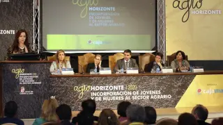 La consejera de Agricultura, Silvia Clemente, durante su intervención en la clausura hoy de la jornada "Agrohorizonte 2020", en Soria.