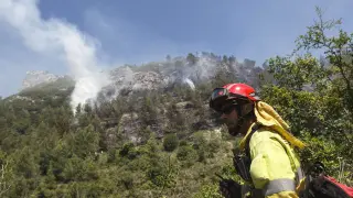 Brigadas forestales en el área del incendio forestal declarado ayer cercano a la localidad alicantina de Pego.