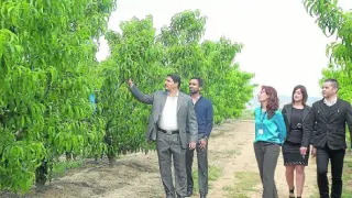 Importadores emiratíes durante una visita, ayer, a una explotación frutícola de Fraga.