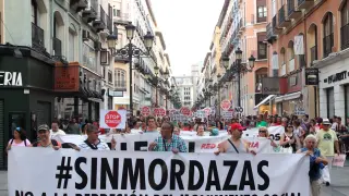La manifestación a su paso por la calle Alfonso.
