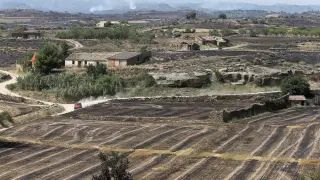 Campos enteros quemados junto a la localidad de Asín por el incendio en las Cinco Villas.