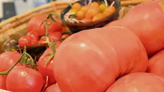 El tomate es uno de los ingredientes básicos de un buen salmorejo.
