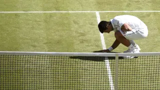 El tenista serbio Novak Djokovic celebra su victoria ante el francés Richard Gasquet.