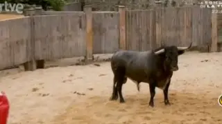 El toro que ha regresado a corrales