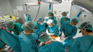 Un equipo de unos 15 cirujanos, anestesistas, enfermeros y auxiliares participaron en la operación.