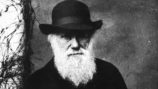 Charles Darwin parece congelado en la mayoría de sus retratos.