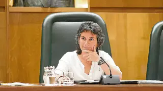 Luisa Broto, ayer, en la comisión de Derechos Sociales.
