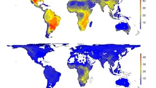 El primer mapa muestra la diversidad natural de los grandes mamíferos mientras que el segundo mapa muestra su diversidad actual.