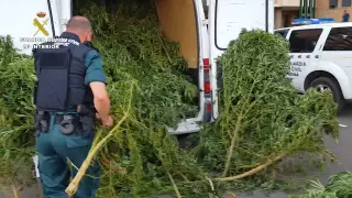 La Guardia Civil se incauta de 983 kilos de marihuana