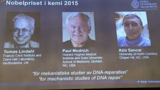 Los tres investigadores premiados.