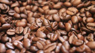El estudio confirma la presencia de fumonisinas, aflatoxinas, tricotecenos y micotoxinas emergentes en el café.